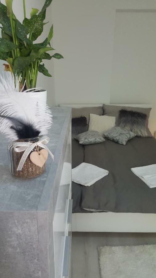 Gutenberg Utca Apartman Szeged Esterno foto